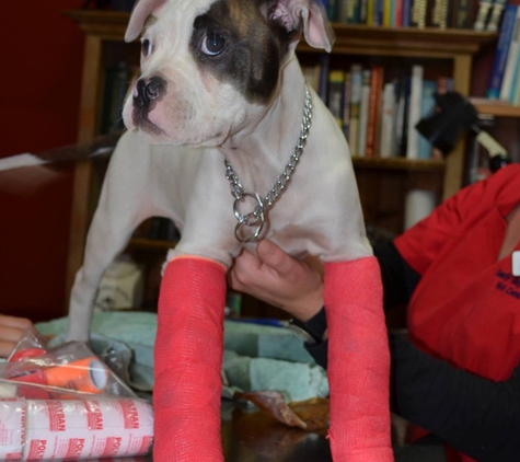 Sandy Bay Holistic Veterinary Clinic - Sandy Bay, TAS
