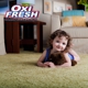 Oxi Fresh Carpet Cleaning