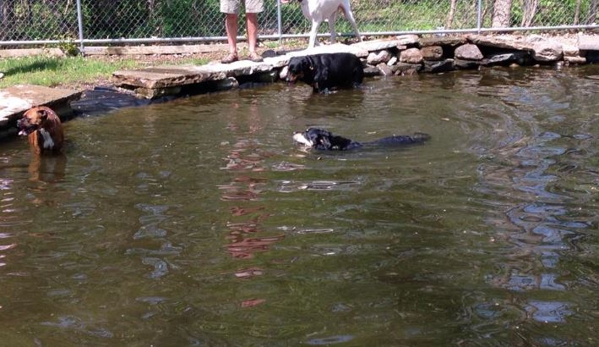 Fort Hyde Kennels Inc. - Gasport, NY