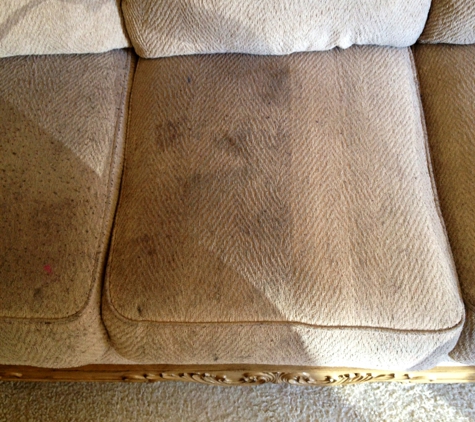 Around the Bay Carpet Cleaning