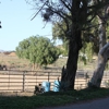 Rancho Linda Mio Horse Boarding & Training Facility gallery