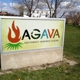 Agava