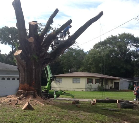 A WHAT ABOUT BOBS TREE SERVICE - Longwood, FL