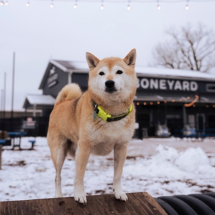 The Boneyard - Madison, WI