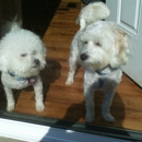 DogRFamily