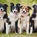 Ottawa Animal Hospital - Veterinarians