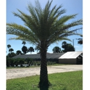 Lisenby Palms Inc. - Flowers, Plants & Trees-Silk, Dried, Etc.-Retail