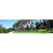 Gallery Image Number 1