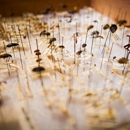 B & C Pest Control - Pest Control Equipment & Supplies