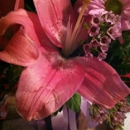 Dhun's Florist - Flowers, Plants & Trees-Silk, Dried, Etc.-Retail