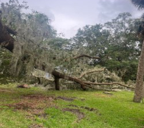 The Perfect Cut Tree Service LLC - Middleburg, FL