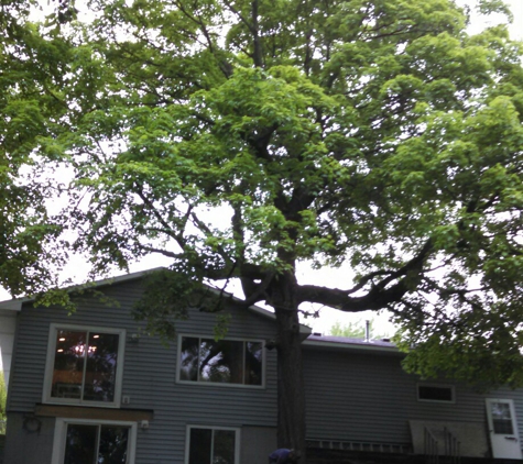 Kivisto West Tree Service LLC - Dassel, MN