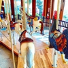 Carousel at Eastwinds gallery