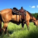 Hurricane Creek Stables, LLC - Horse Rentals