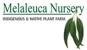 Melaleuca Nursery - Nurseries - Retail