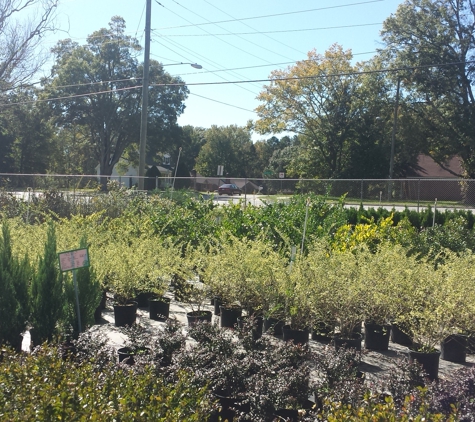 Oakdale Greenhouses, LLC - Charlotte, NC. Landscape Plants