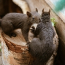 Pest Control Solutions - Pest Control Equipment & Supplies