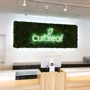 Curaleaf Dispensary Jacksonville