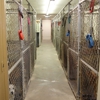 Busch's Kennel gallery