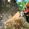 A Cut Above Tree Service gallery