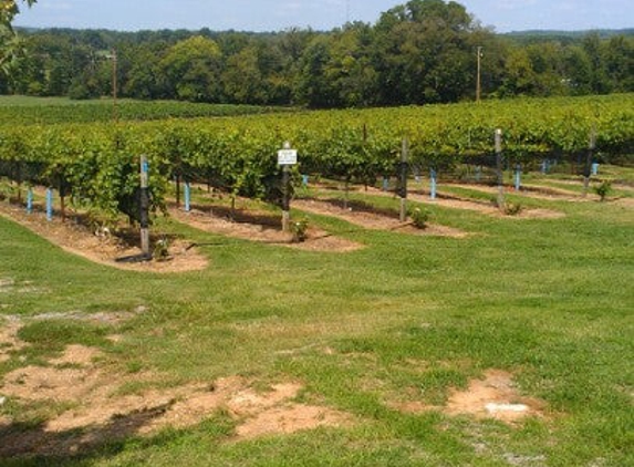 Arrington Vineyards - Arrington, TN