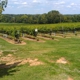 Arrington Vineyards