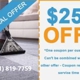 The Woodlands Carpet & Rugs Care