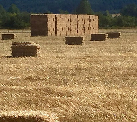 Beaudry Farms - Amity, OR