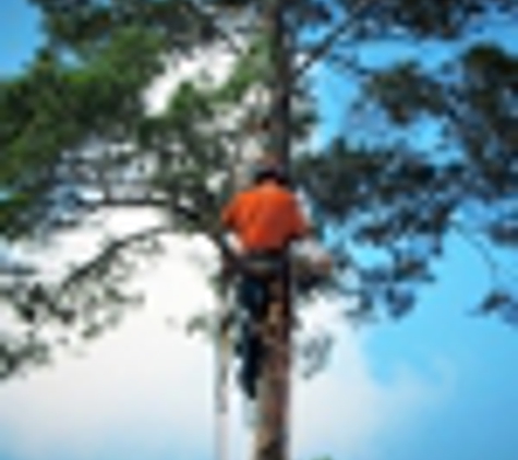 Arbor Barber Trees LLC - Fort Walton Beach, FL