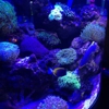 Saltwater Paradise gallery