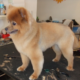 Miami Doggy Style, Pet Grooming Salon and Day Care - Miami, FL