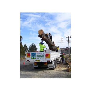 Sapphire Coast Tree Service & Tower Hire - South Pambula, NSW
