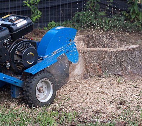 Davison Stump Removal - Accokeek, MD