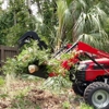 Flagler Tree & Debris Inc. gallery