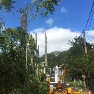 Natural Maple Landscaping - Hampton Bays, NY