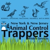 Animal Control NY/NJ gallery