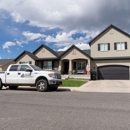 Silverback Roofing