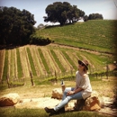 Proulx Wine