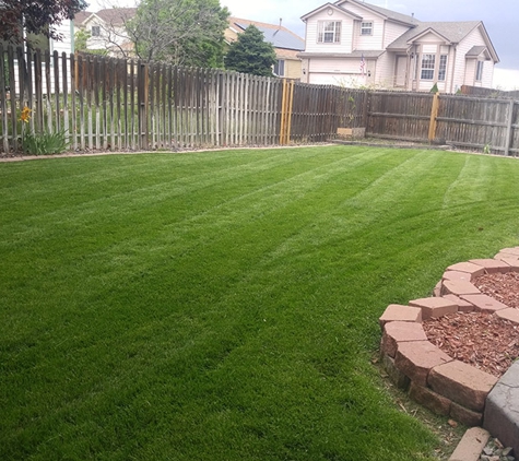 Epic Lawn Pro - Longmont, CO