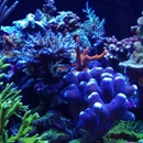 The Fish Place - Aquariums & Aquarium Supplies