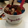 YogurtLand gallery