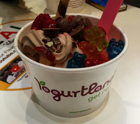 YogurtLand - Denver, CO. Yum:)