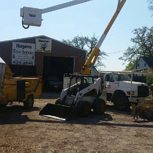 Hagens Tree Service - Pella, IA