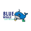 Blue Whale Car Wash gallery