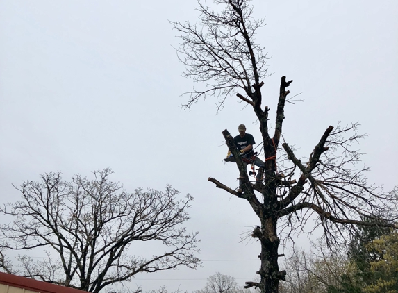 Out On A Limb Tree Service - Norman, OK