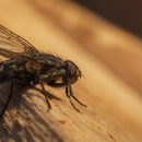 Custom Termite and Pest Control Inc - Pest Control Equipment & Supplies