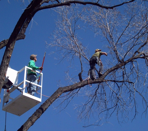 Kenco Tree Service - Prescott, AZ