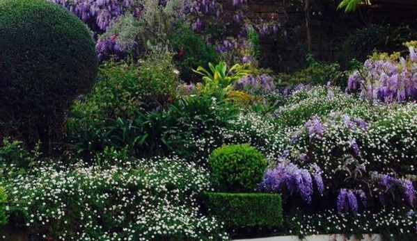 Able Lawns & Gardening Service - Strathfield, NSW. Beautiful garden looked after by able lawns and gardening services