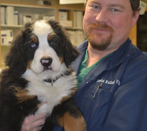 Cherry Ridge Veterinary Clinic - Honesdale, PA