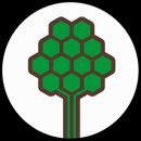 Ahlum & Arbor Tree Preservation - Arborists